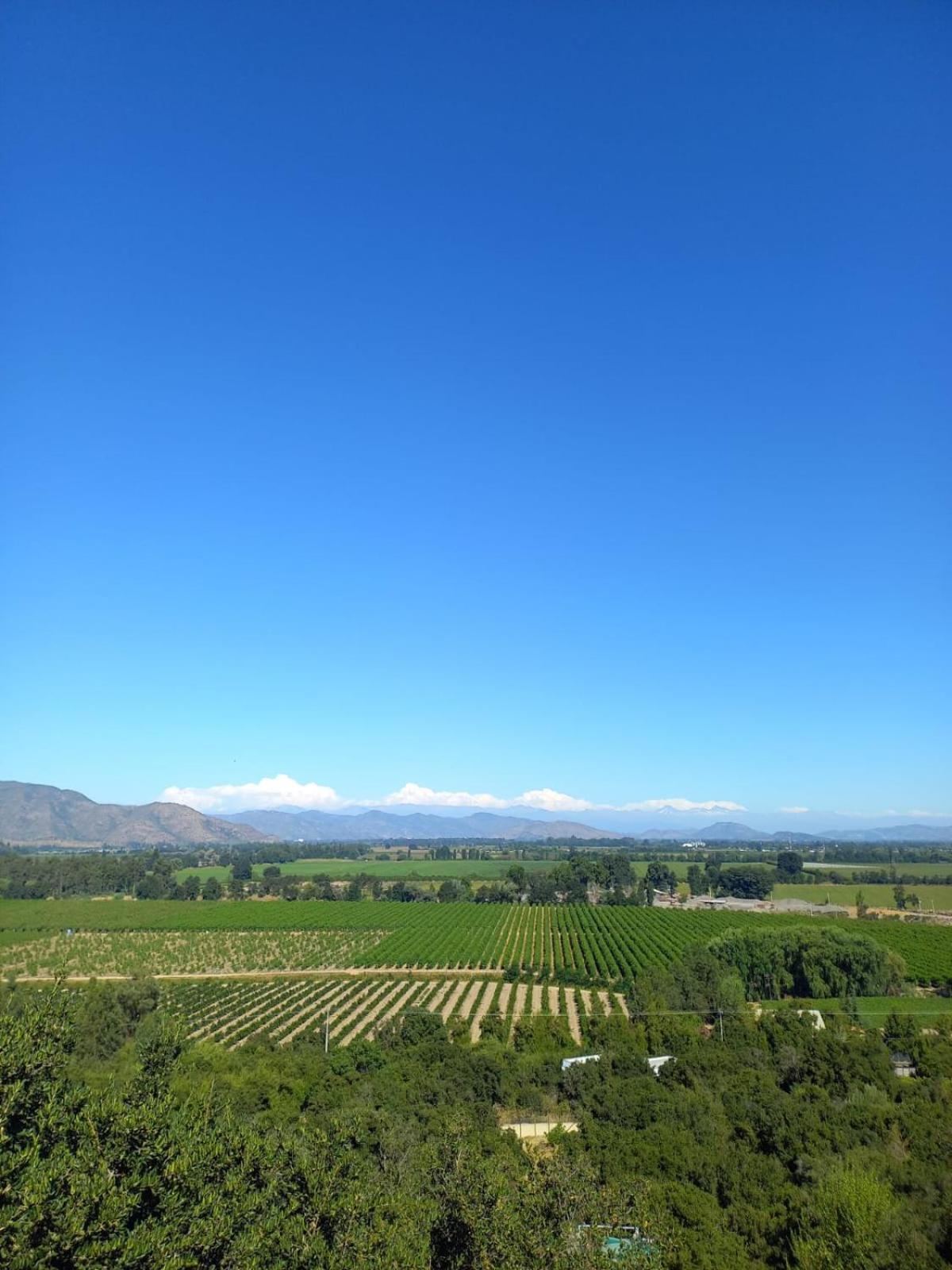 Hotel Colchagua D'Vino Santa Cruz Exterior foto